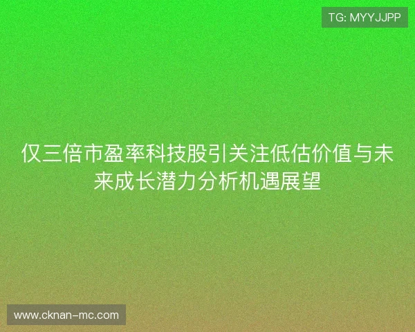 仅三倍市盈率科技股引关注低估价值与未来成长潜力分析机遇展望
