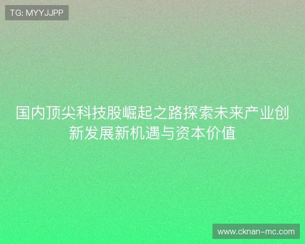 国内顶尖科技股崛起之路探索未来产业创新发展新机遇与资本价值 国内顶尖科技股崛起之路探索未来产业创新发展新机遇与资本价值